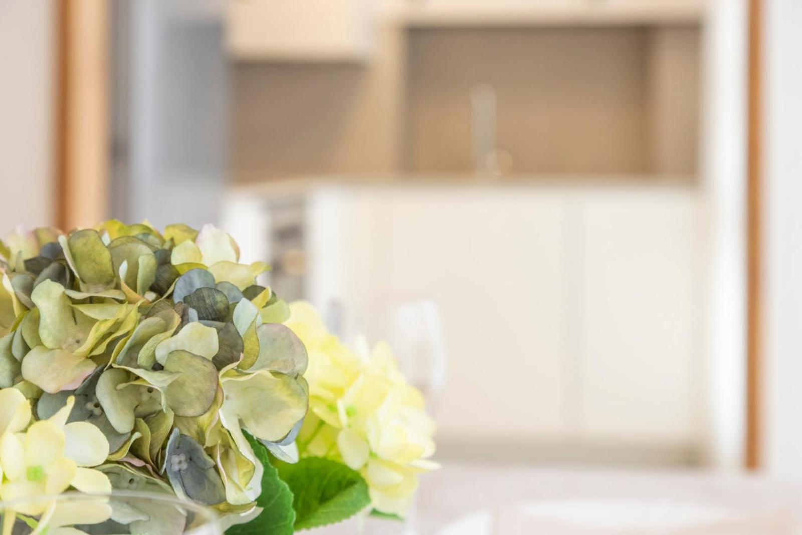 Apartament El Peregrino Vut
